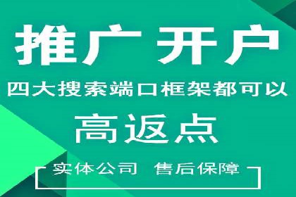 百度推广代运营公司成功案例：精准投放广告的秘诀
